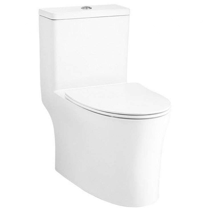 Bồn Cầu Cotto C105607 Một Khối Xả Nhấn